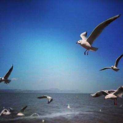 时空之翼h5手游下载