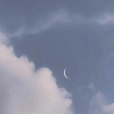 寻侠客无限资源版下载